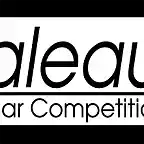 Logo Scaleauto