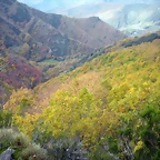 DSCN0651