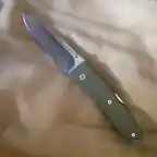 Lionsteel2