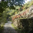 DSCN4452