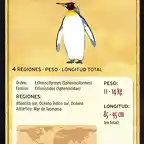 pinguino rey
