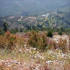 DSCN5764