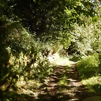 DSCN1647