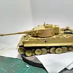 Tiger74