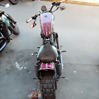 DSCN6007
