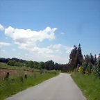 DSCN5393