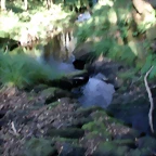 P1010167