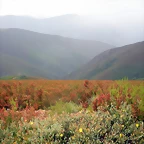 DSCN6293