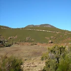 DSCN6873