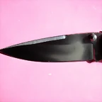 DSCF1681