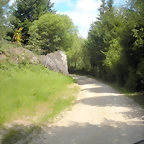 DSCN5345