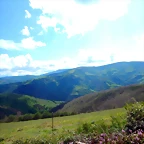 DSCN4908