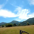DSCN8241