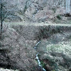 DSCN2976