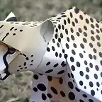 Cheetah (papercraft) by Pendragon