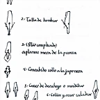 flexibilizar plumines