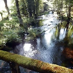 DSCN6932