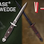 CaseBeshWedgeandV42