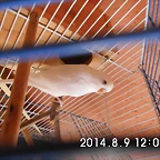 CIMG0535