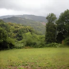 DSCN4731