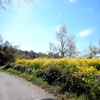 DSCN3968