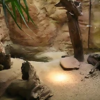 Zoo de Barcelona 27-03-11 600