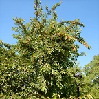 DSCN2339