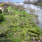 31-IMG_4976