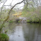 DSCN4159