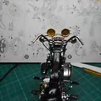 DSCN4603