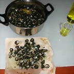 DSCN2715