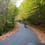 DSCN5956