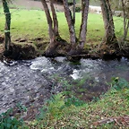 DSCN0564