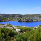 31-IMG_3534