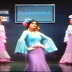 Pasarela 12-2-2015 (9)