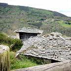 DSCN4273