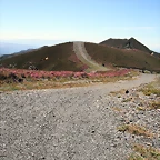 DSCF2565