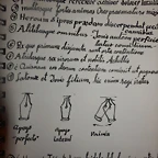 muestras escritura it?lico 002