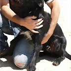 pipo2