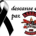 descarga