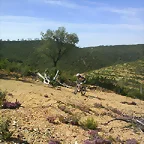 Francis subida
