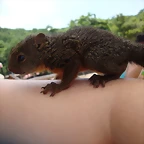 De viaje a la playa.