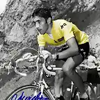 TOUR 1969-FAEMA.MERCKX.