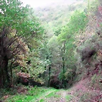 DSCN6270