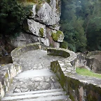 DSCN0106
