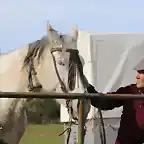 07, Paco y su caballo, marca2