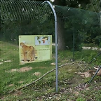 Le Parc des Felins agost 2010 938
