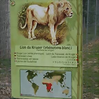 Le Parc des Felins agost 2010 940