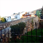 DSCN4181