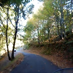 DSCN0123
